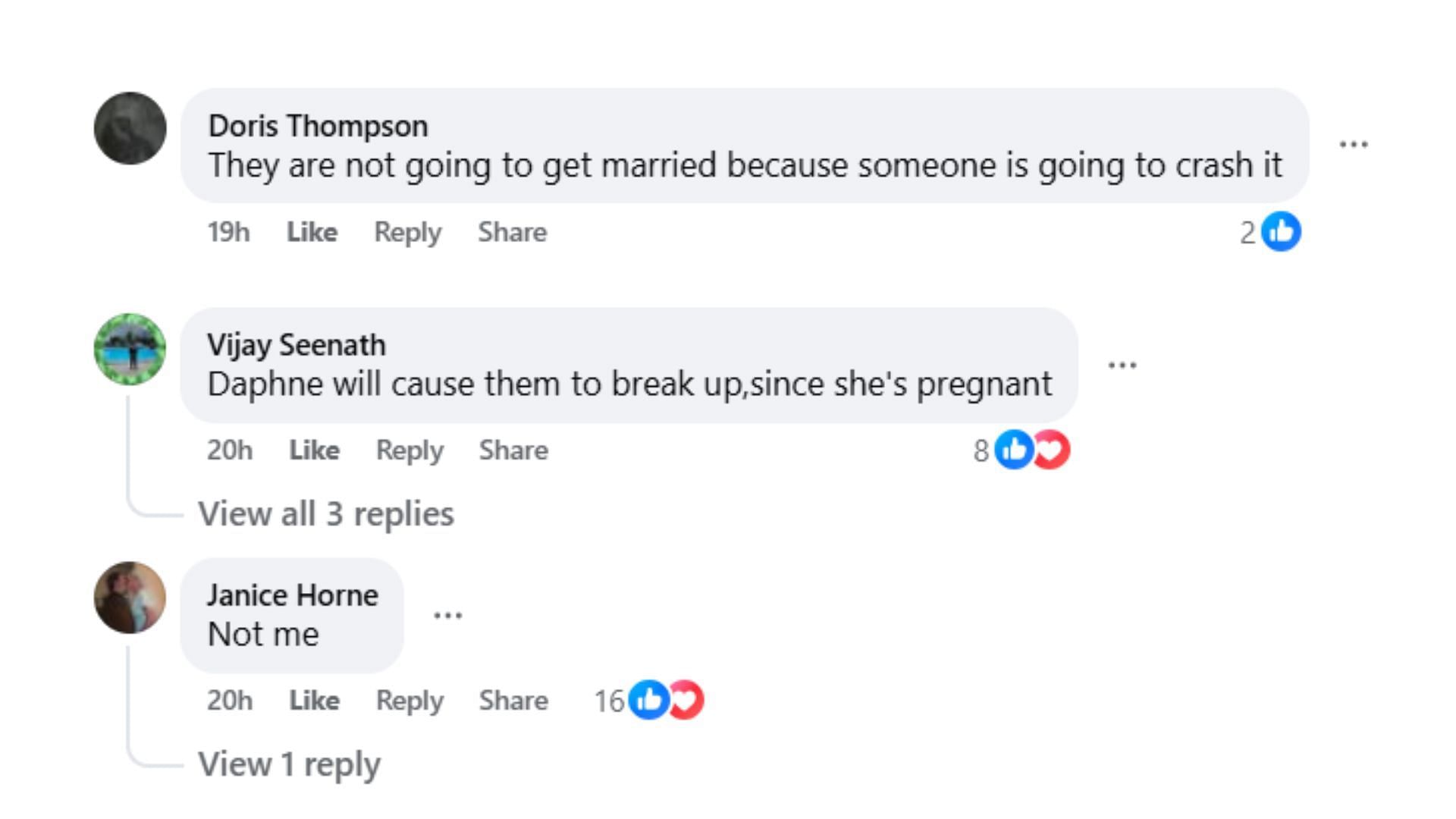 Comments by fans on the post (Image via Facebook/@Rosie Paino)